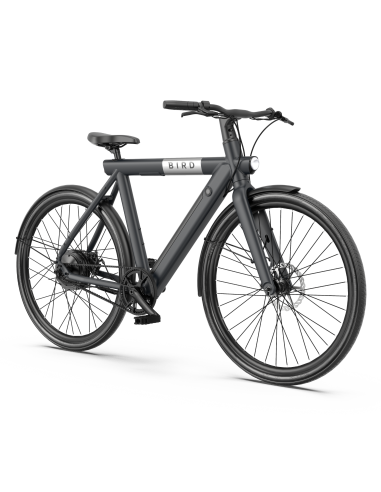 Vélo électrique BirdBike A Frame - Courroie
