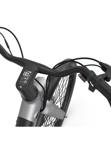 BirdBike V Frame - 26'' 345Wh 7 vitesses