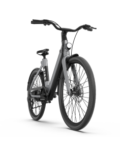 BirdBike V Frame - 26''... 2